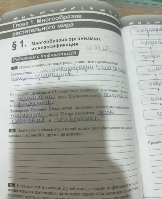 Закончи предложения из параграфа: систематика - это наука о ...; царство Доядерные включает ...; царство Ядерные включает ...