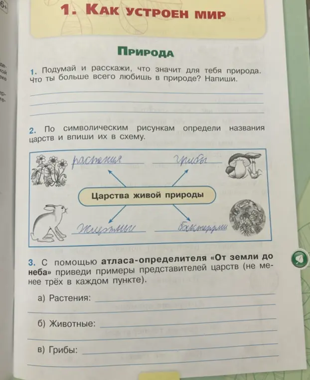 Составь примеры представителей царств (не менее трёх в каждом пункте) растений, животных и грибов.