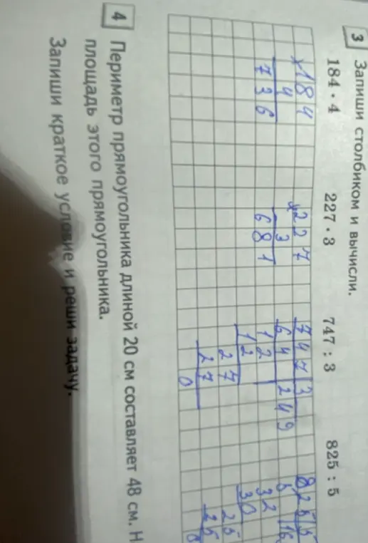 Ты просишь решить примеры на умножение и деление столбиком, а также найти площадь прямоугольника, если известны периметр и длина.