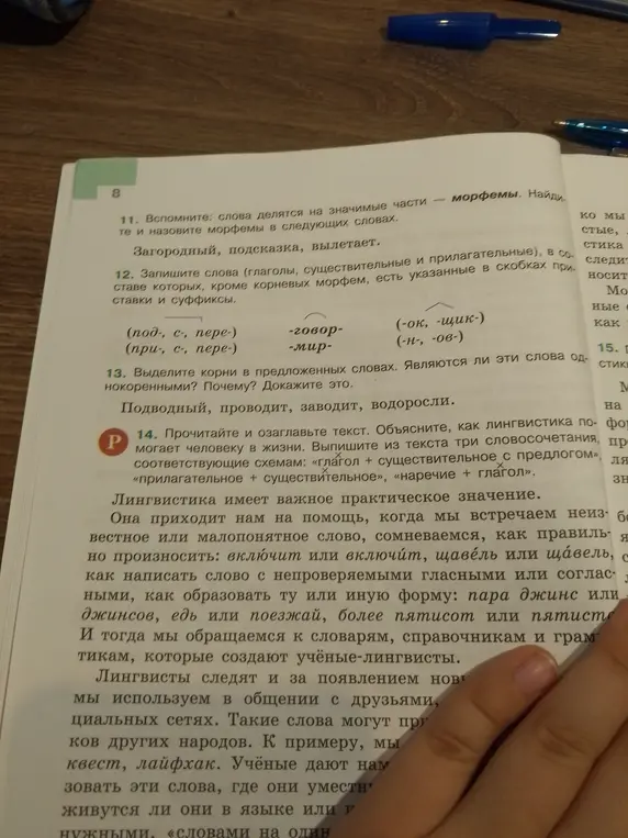 Помоги мне найти и назвать морфемы в словах: Загородный, подсказка, вылетает.