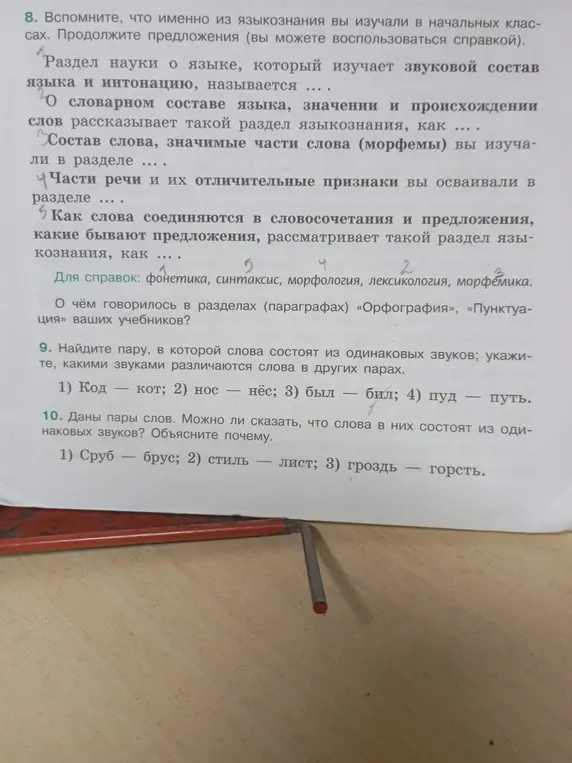 Вспомни, что именно из языкознания ты изучал в начальных классах и продолжи предложения, а также найди пару, в которой слова состоят из одинаковых звуков.