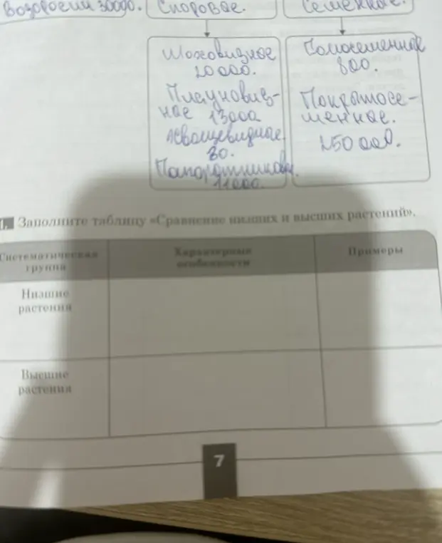 Заполни таблицу «Сравнение низших и высших растений»