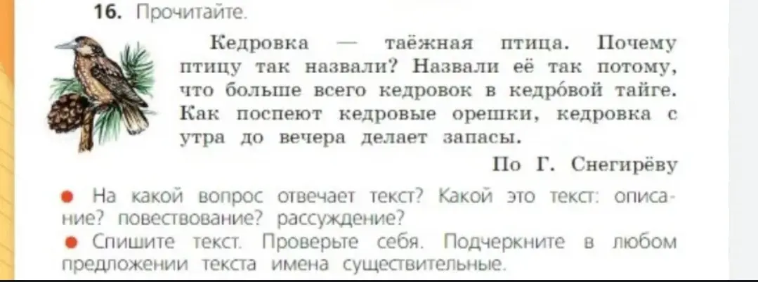 Ответь на вопрос, на какой вопрос отвечает текст, какой это текст: описание, повествование, рассуждение и подчеркни в любом предложении текста имена существительные
