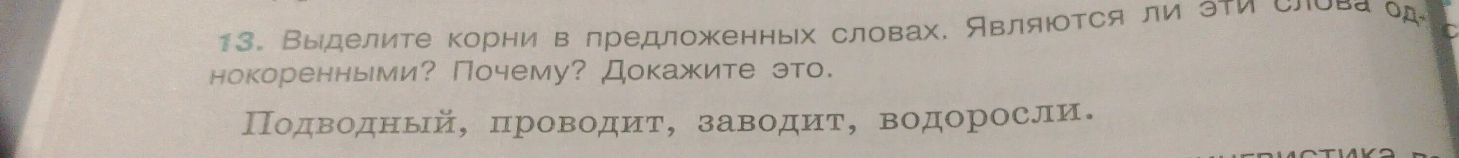 Выдели корни в предложенных словах: 'Подводный, проводит, заводит, водоросли' и докажи, что они однокоренные