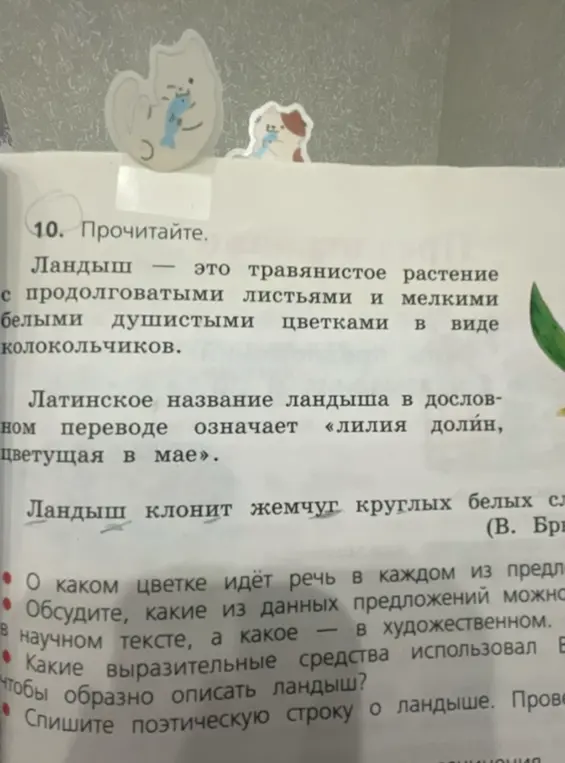 О каком цветке идёт речь в каждом из предложений?
