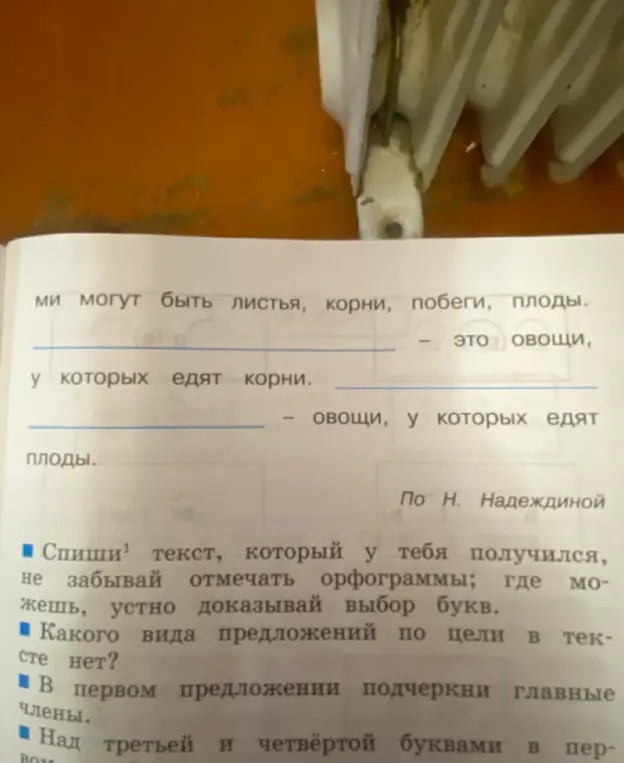Обозначь границы предложений и названия каких овощей нужны в двух последних предложениях.