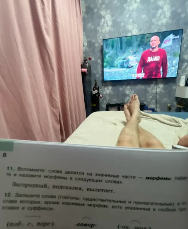 Найди морфемы в словах: Загородный, подсказка, вылетает