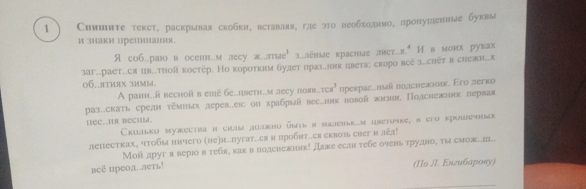 Вставь пропущенные буквы и знаки препинания в тексте.