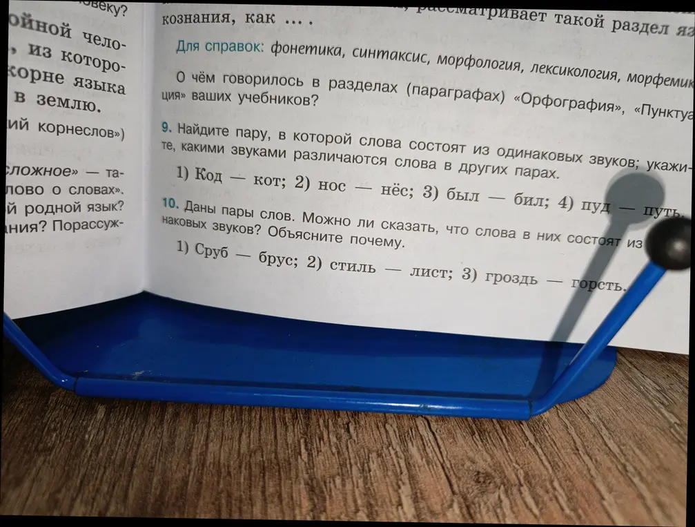 Найди пару, в которой слова состоят из одинаковых звуков в задании 9
