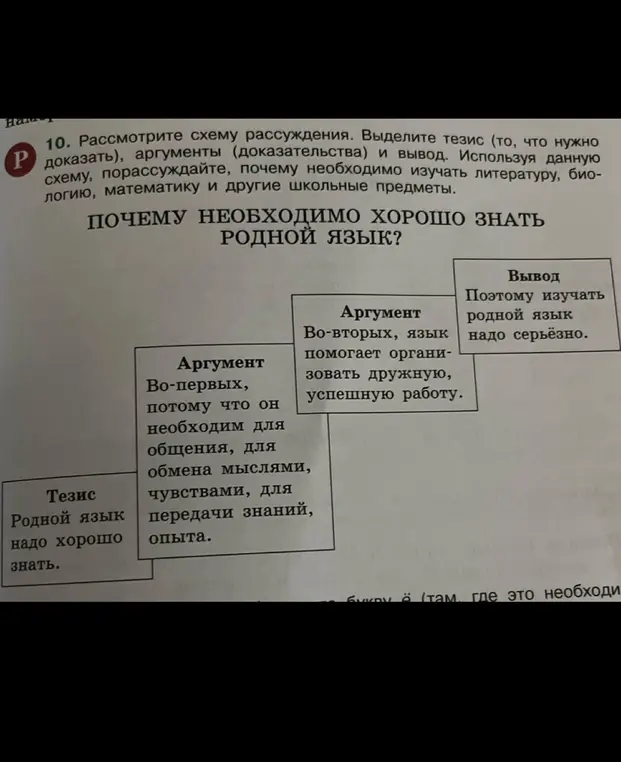 Объясни, что такое тезис, аргументы и вывод в схеме рассуждения на тему, почему необходимо хорошо знать родной язык