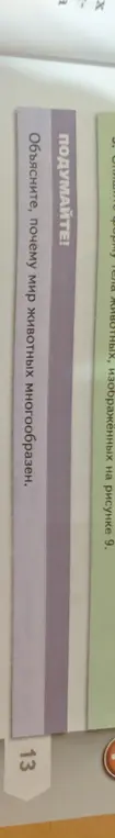Объясни, почему мир животных многообразен