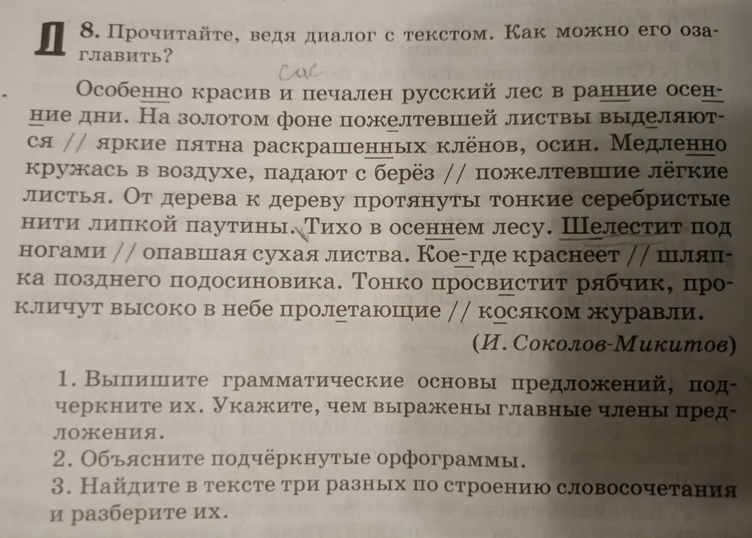 Выполни, пожалуйста, задания к тексту: выпиши грамматические основы предложений, подчеркни их, укажи чем выражены главные члены предложения