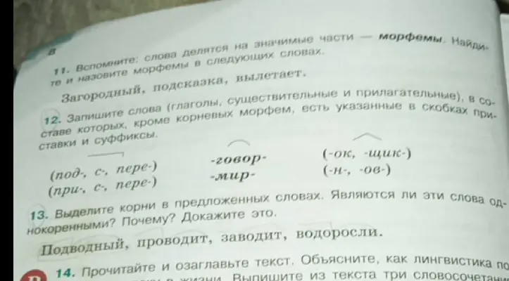 Выполни задания: найди морфемы в словах загородный, подсказка, вылетает; запиши слова с приставками и суффиксами; выдели корни в словах подводный, проводит, заводит, водоросли и определи однокоренные ли они.
