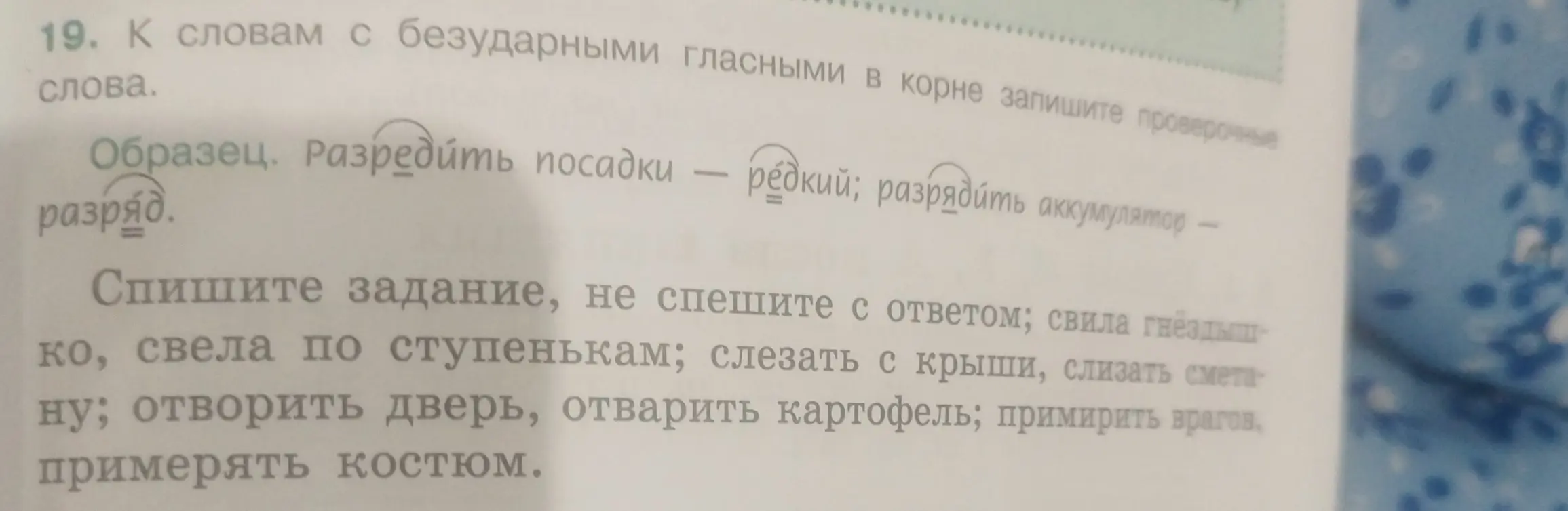 Подбери проверочные слова к словам с безударными гласными в корне из упражнения 19