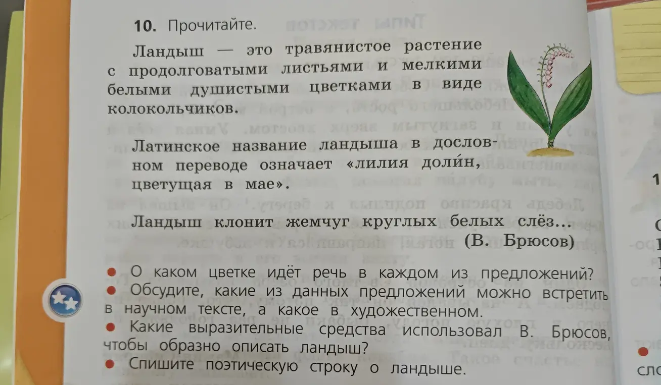 О каком цветке идёт речь в каждом из предложений?