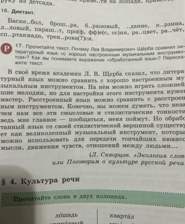 Можешь ли ты составить план из трёх предложений к тексту про литературный язык?