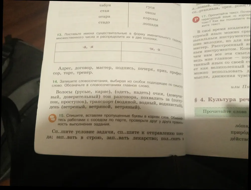 Поставь имена существительные в форму именительного падежа множественного числа и распредели их в две колонки.