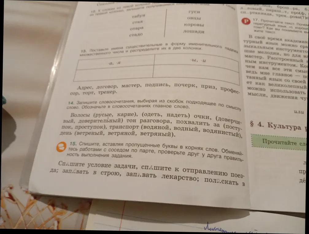 Помоги с упражнениями 13, 14 и 15