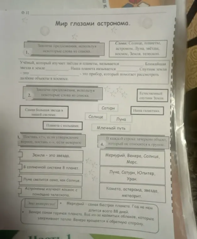 Выполни задания: закончи предложения, используя слова из списка, поставь + или -, зачеркни объект, который не относится к группе.