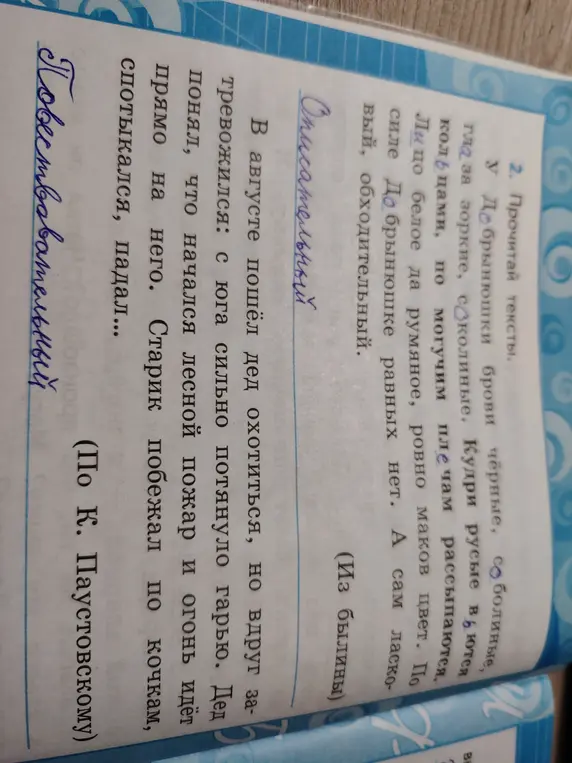 Объясни, какой тип текста в каждом отрывке