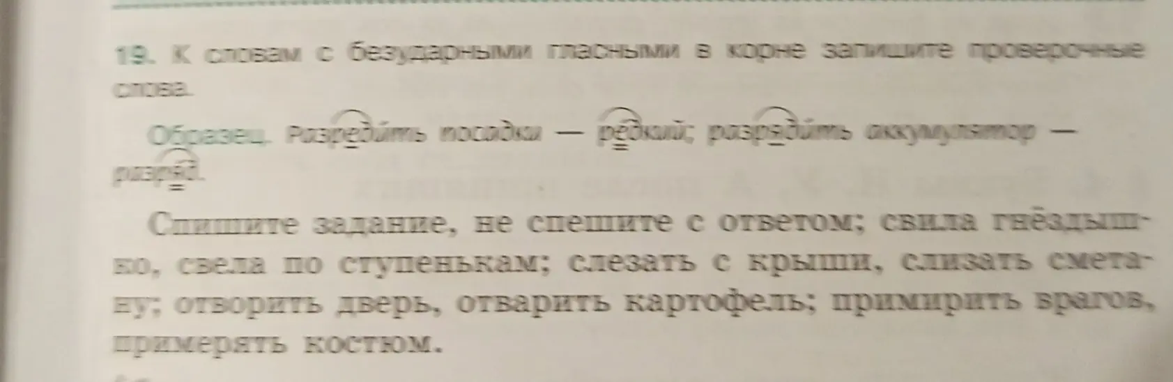 Подбери проверочные слова к словам с безударными гласными в корне: свила гнёздышко