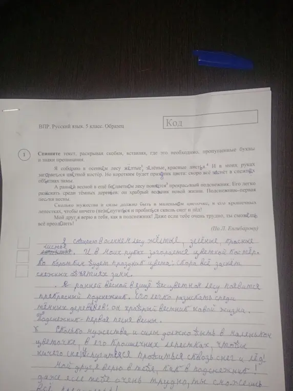 Помоги с заданием: Спиши текст, раскрывая скобки, вставляя, где это необходимо, пропущенные буквы и знаки препинания.