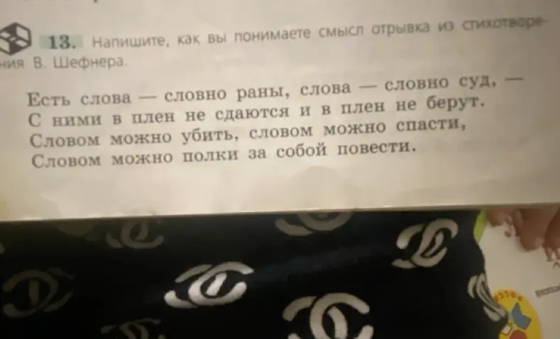 Напиши, как ты понимаешь смысл отрывка из стихотворения В. Шефнера