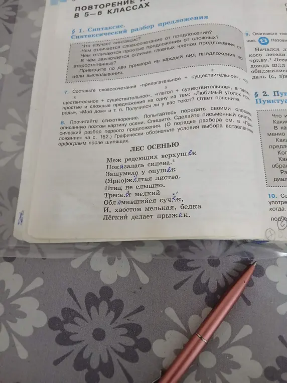 Объясни, что изучает синтаксис?
