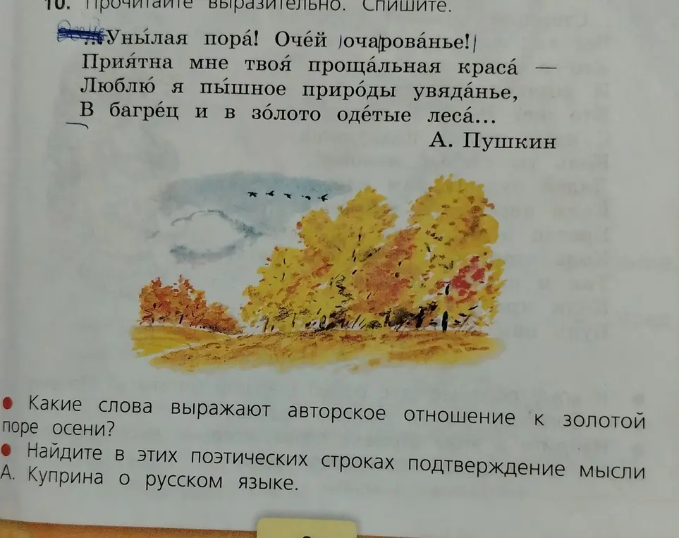Какие слова выражают авторское отношение к золотой поре осени?