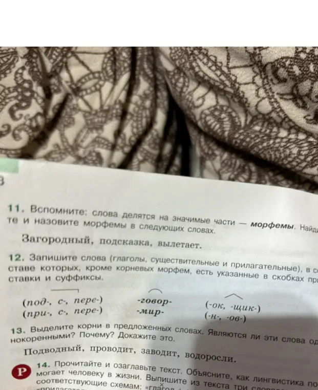 Выдели корни в предложенных словах: подводный, проводит, заводит, водоросли. Являются ли эти слова однокоренными?