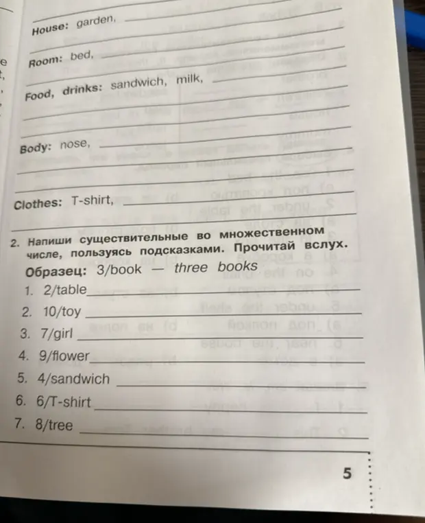 Напиши существительные во множественном числе, пользуясь подсказками для 2/table