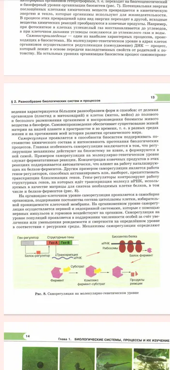 Перескажи мне нормальным языком текст про разнообразие биологических систем и процессов