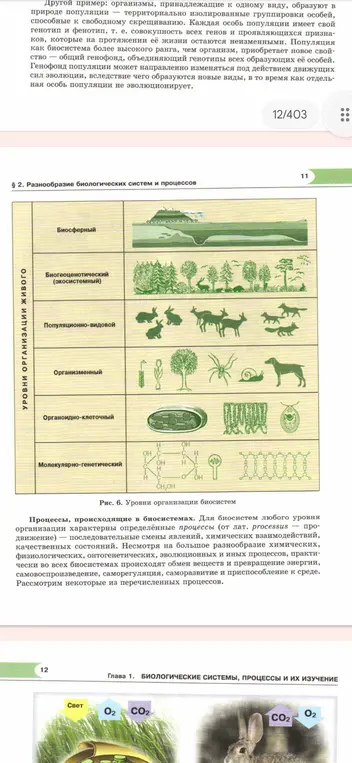 Можешь ли ты пересказать нормальным языком текст о популяциях, уровнях организации живого и процессах в биосистемах?
