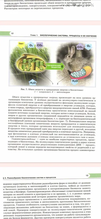 Можешь ли ты пересказать нормальным языком текст о популяциях, уровнях организации живого и процессах в биосистемах?