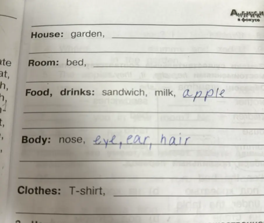 Подбери подходящие слова в группы: House, Room, Clothes