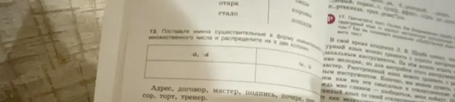 Поставь имена существительные в форму множественного числа и распредели в две колонки: адрес, договор, мастер...