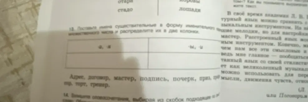 Помоги поставить имена существительные в форму именительного множественного числа и распредели их в две колонки.