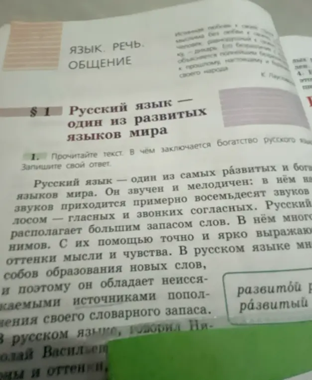 В чём заключается богатство русского языка?