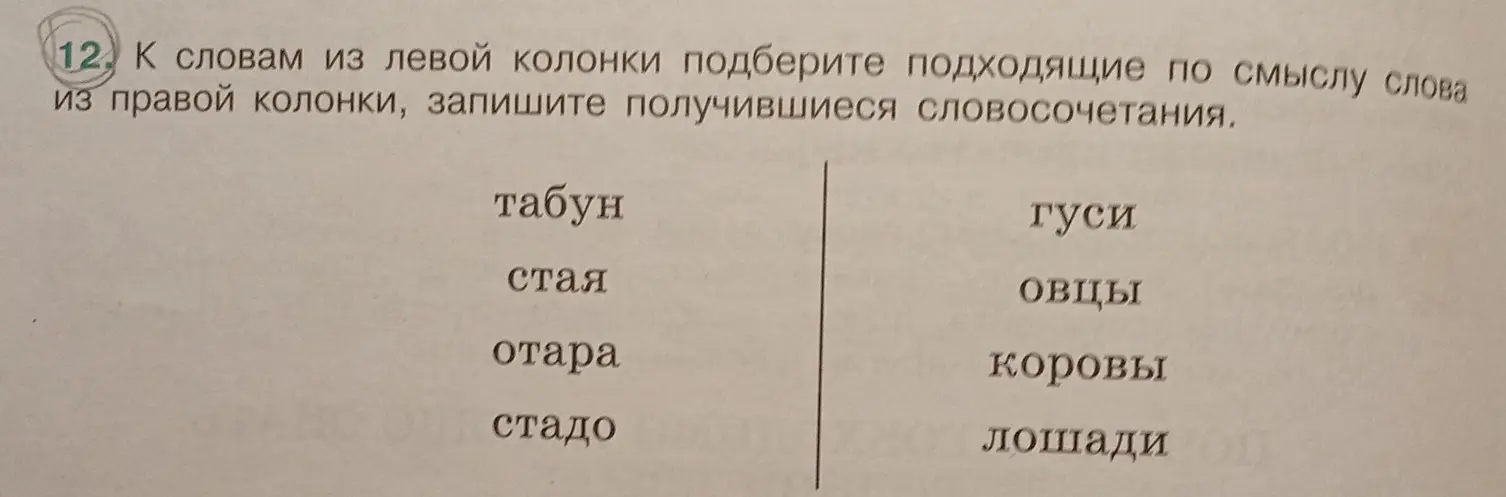 Подбери подходящие по смыслу слова из правой колонки к словам из левой колонки и запиши получившиеся словосочетания: табун, стая, отара, стадо