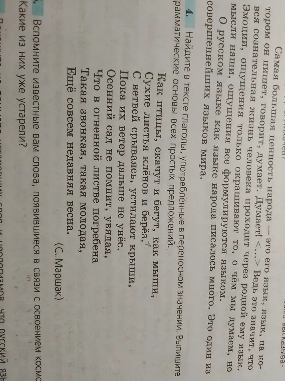 Найди в тексте глаголы, употреблённые в переносном значении, и выпиши грамматические основы всех простых предложений.