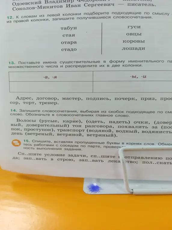 Выполни упражнения: 12. Подбери подходящие по смыслу слова и запиши словосочетания, 13. Поставь имена существительные во множественное число и распредели в две колонки, 14. Запиши словосочетания, выбирая из скобок подходящее по смыслу слово, 15. Спиши, вставляя пропущенные буквы в корнях слов