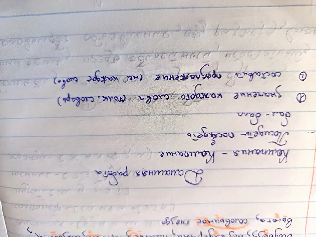 Объясни значение каждого слова (вьюга, соловьиное гнездо) и составь предложение с каждым словом