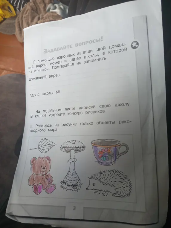 Помоги мне с помощью взрослых записать свой домашний адрес, номер и адрес школы. Раскрась на рисунке только объекты рукотворного мира.