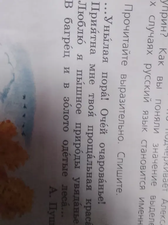 Прочитай выразительно текст