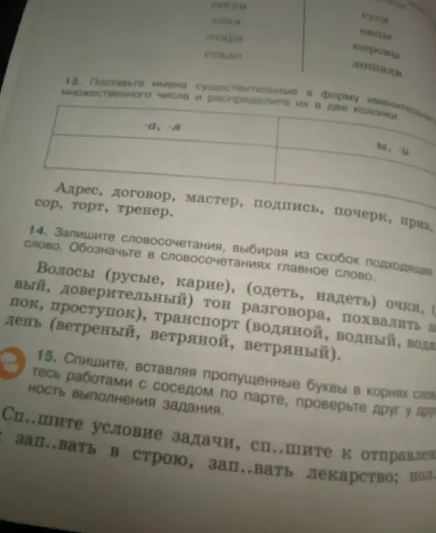 Выполни задание: поставь имена существительные в форму именительного множественного числа и распредели их в две колонки.