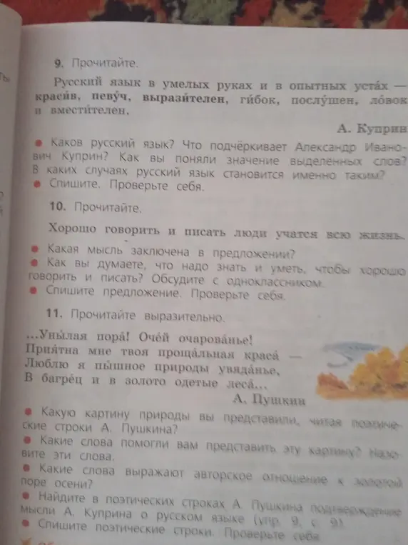 Как ты понимаешь описание русского языка у Куприна в упражнении 9?