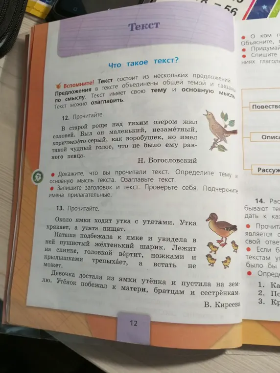 Докажи, что ты прочитал тексты 12 и 13. Определи тему и основную мысль текста. Озаглавь тексты. Запиши заголовок и тексты. Проверь себя. Подчеркни имена прилагательные.