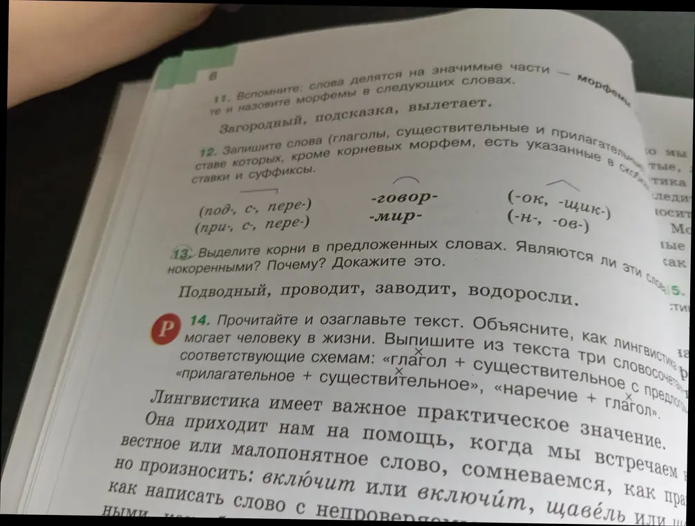 Помоги выделить корни в словах: 'Подводный, проводит, заводит, водоросли'. Являются ли эти слова однокоренными? Почему? Докажи это.