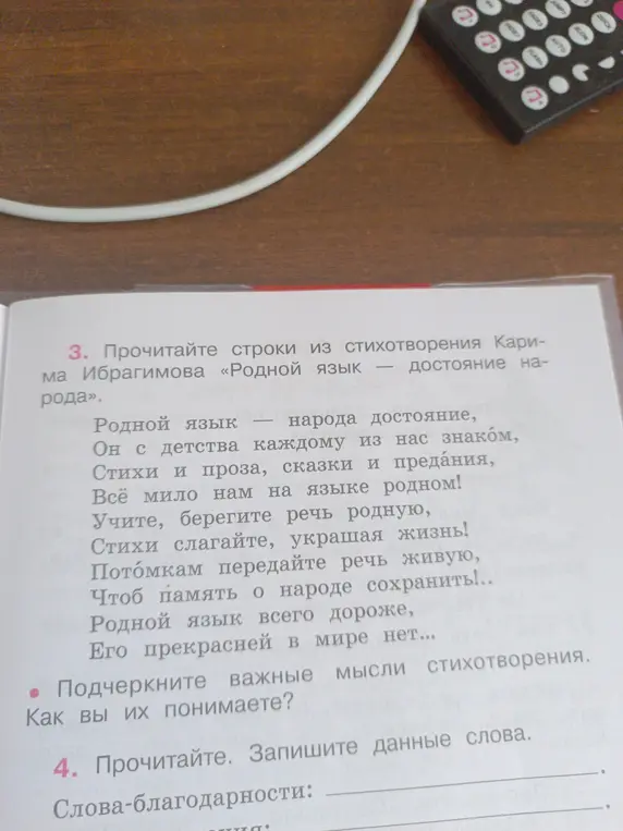 Подчеркни важные мысли стихотворения и объясни, как ты их понимаешь.