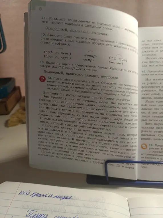 Выдели морфемы в словах: Загородный, подсказка, вылетает.